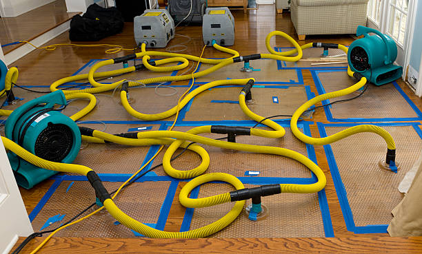 Professional Structural Drying And Dehumidification technician working in Hampton, AR